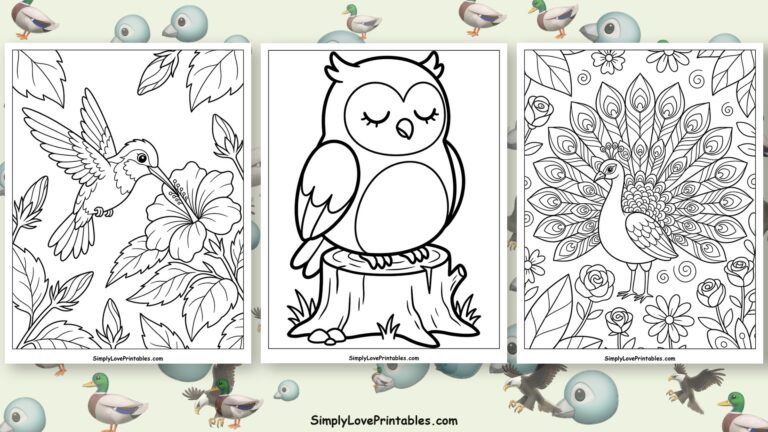 bird coloring pages featured image