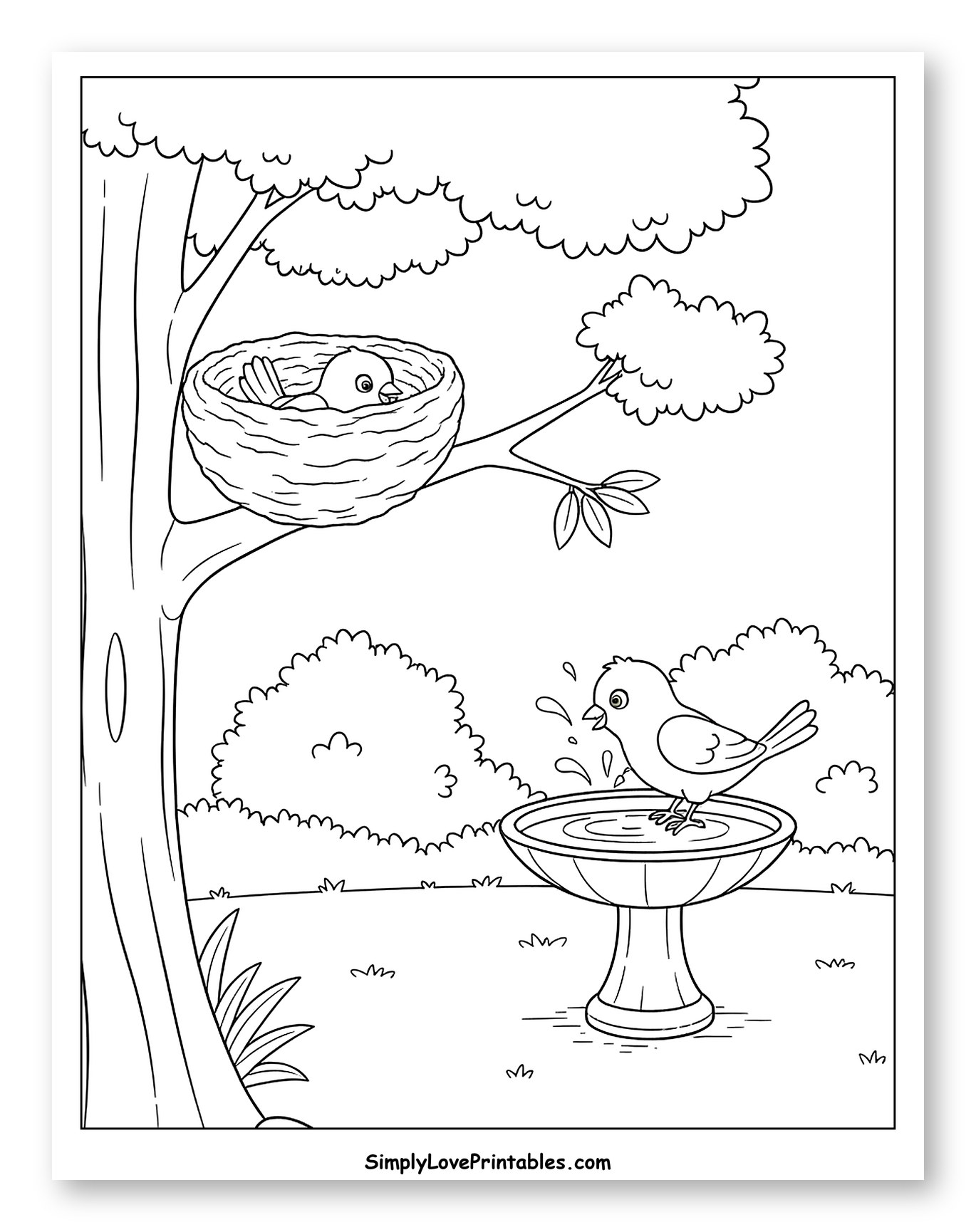 Bird in a Nest and Bird at Birdbath Coloring Page for Kids