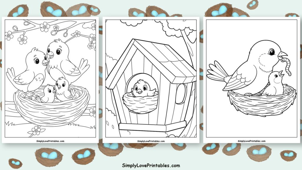 bird nest coloring pages featured image
