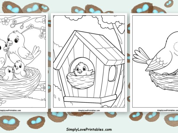 bird nest coloring pages featured image