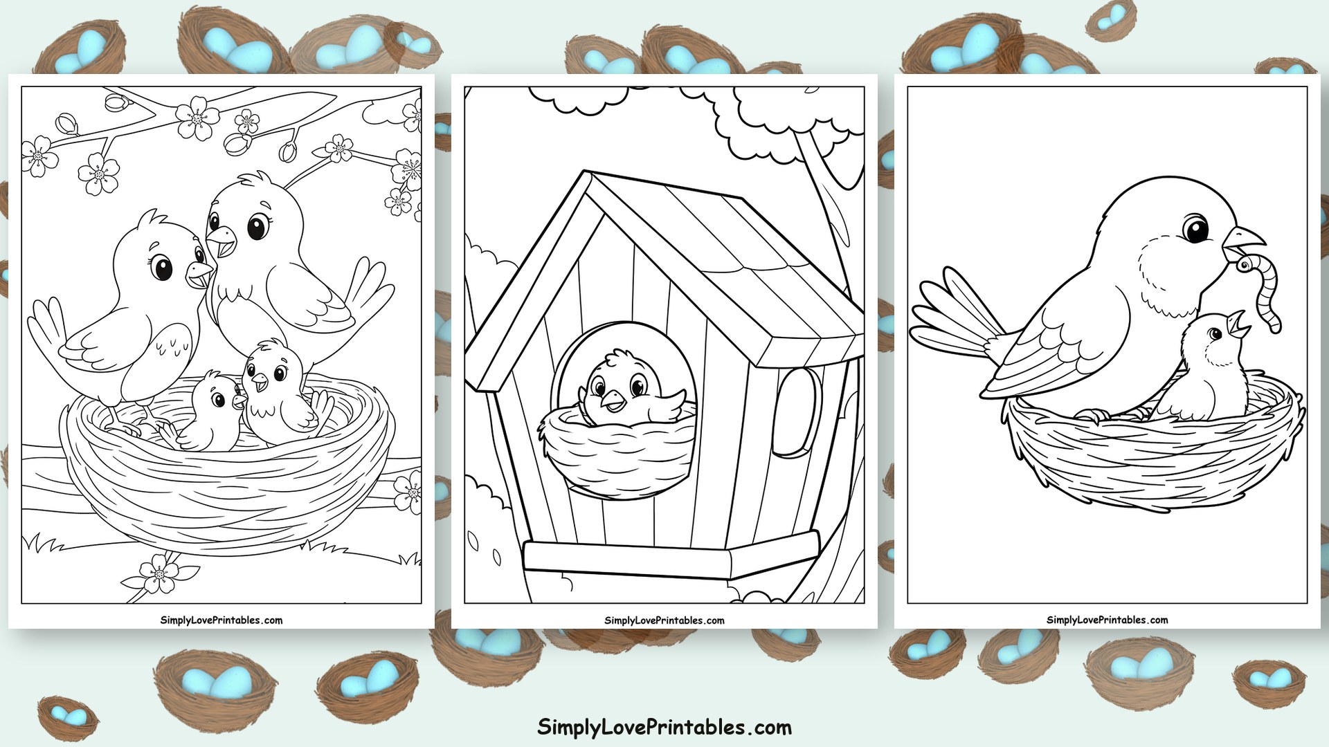 Bird Nest