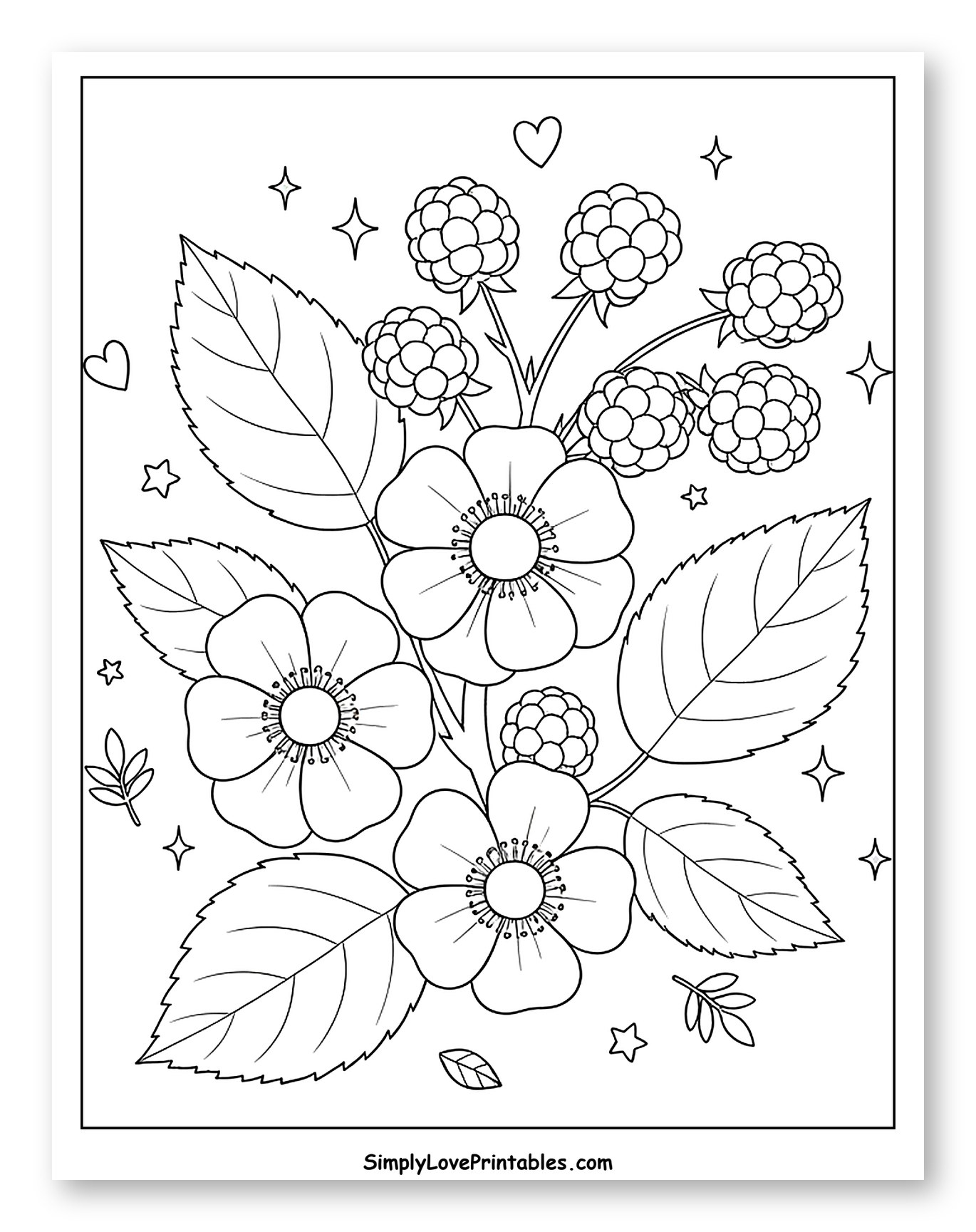 Blackberry Flowers and Berries with Stars
