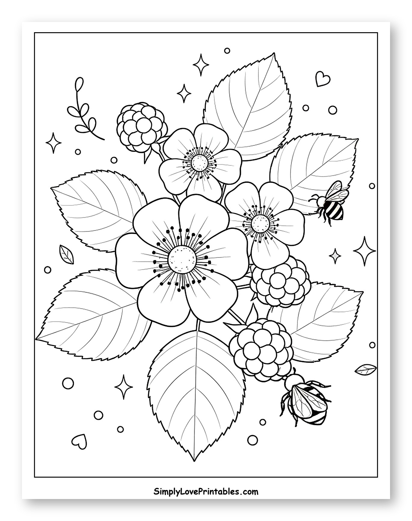 Blackberry Flowers, Berries, Leaves, and Bees Coloring Sheet for Adults