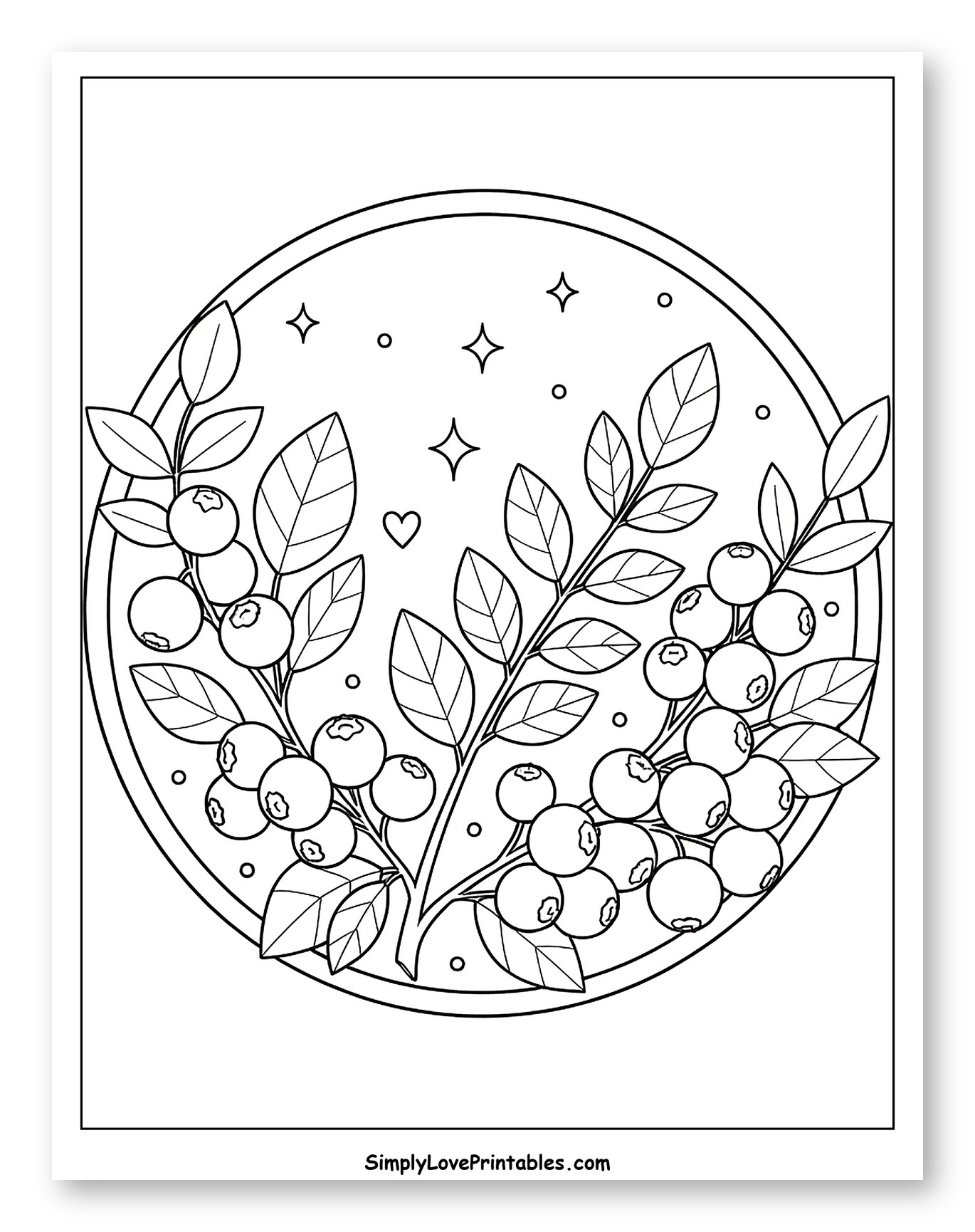 Blueberry Branches in a Starry Circle to Color for Adults