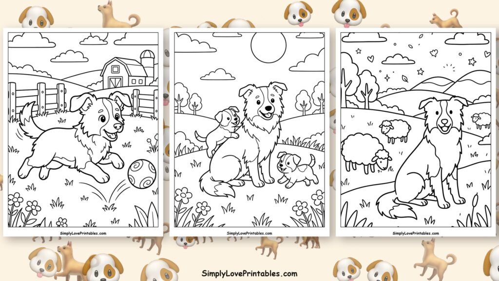 Border Collie coloring pages featured image