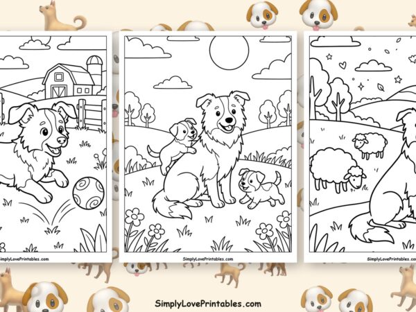Border Collie coloring pages featured image