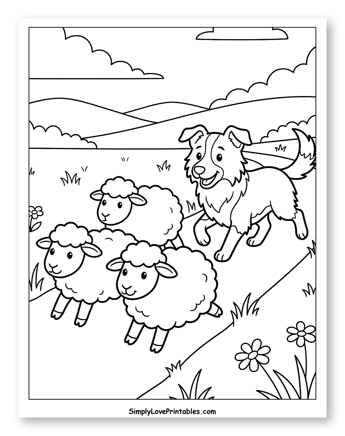 Border Collie Dog Herding Sheep on a Path