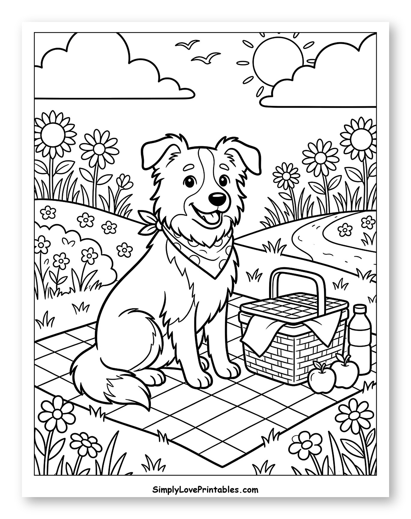 Border Collie Picnic in Sunny Flower Field