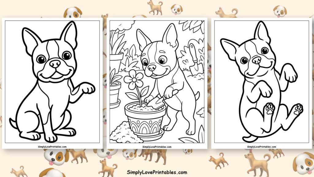 Boston Terrier coloring pages featured image