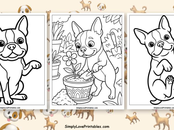 Boston Terrier coloring pages featured image