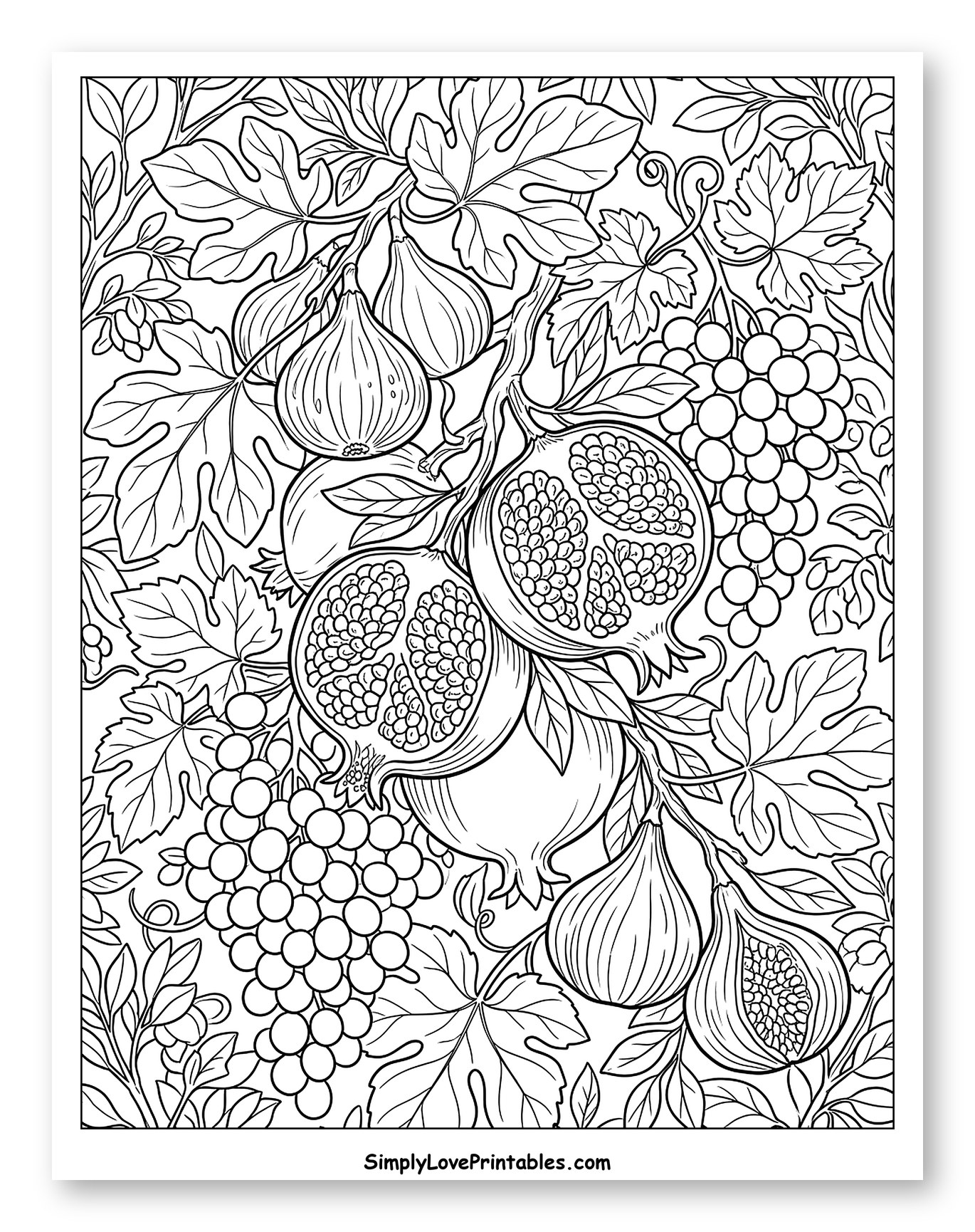 Bountiful Harvest of Figs Grapes and Pomegranates to Color