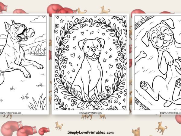 Boxer coloring pages featured image