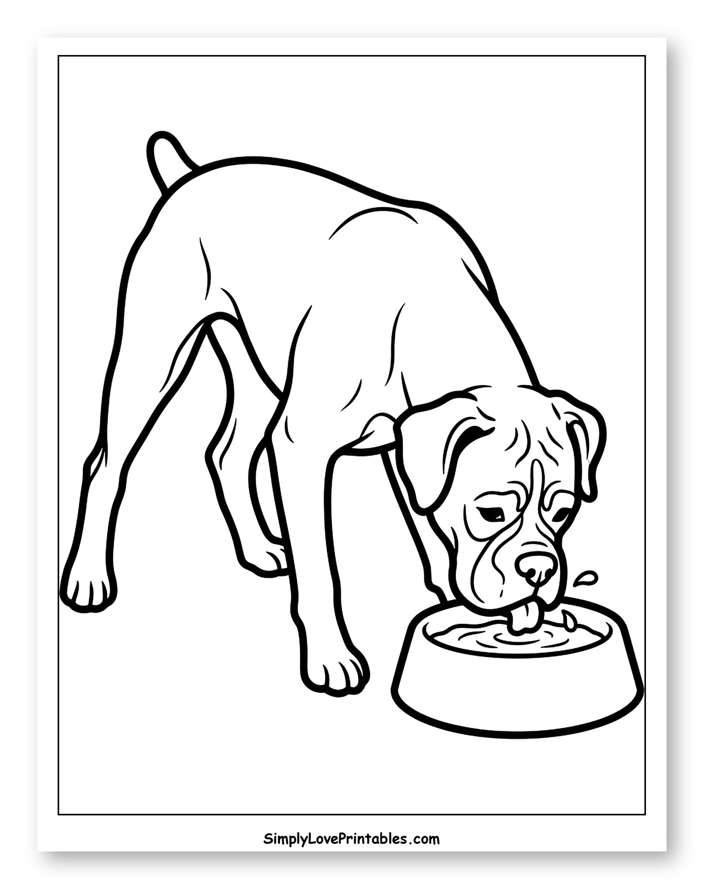 Boxer Dog Drinking Water from a Bowl Coloring Sheet for Toddlers