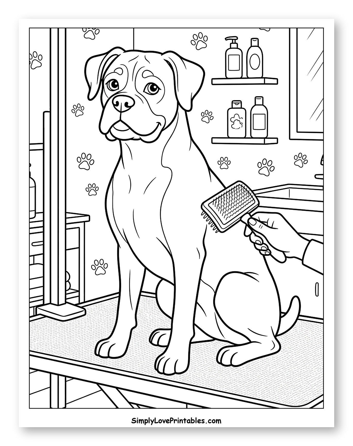 Boxer Dog Getting Brushed at Groomers