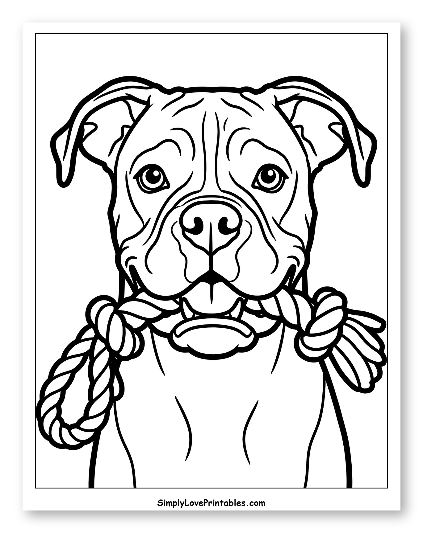 Boxer Dog Holding a Rope Toy