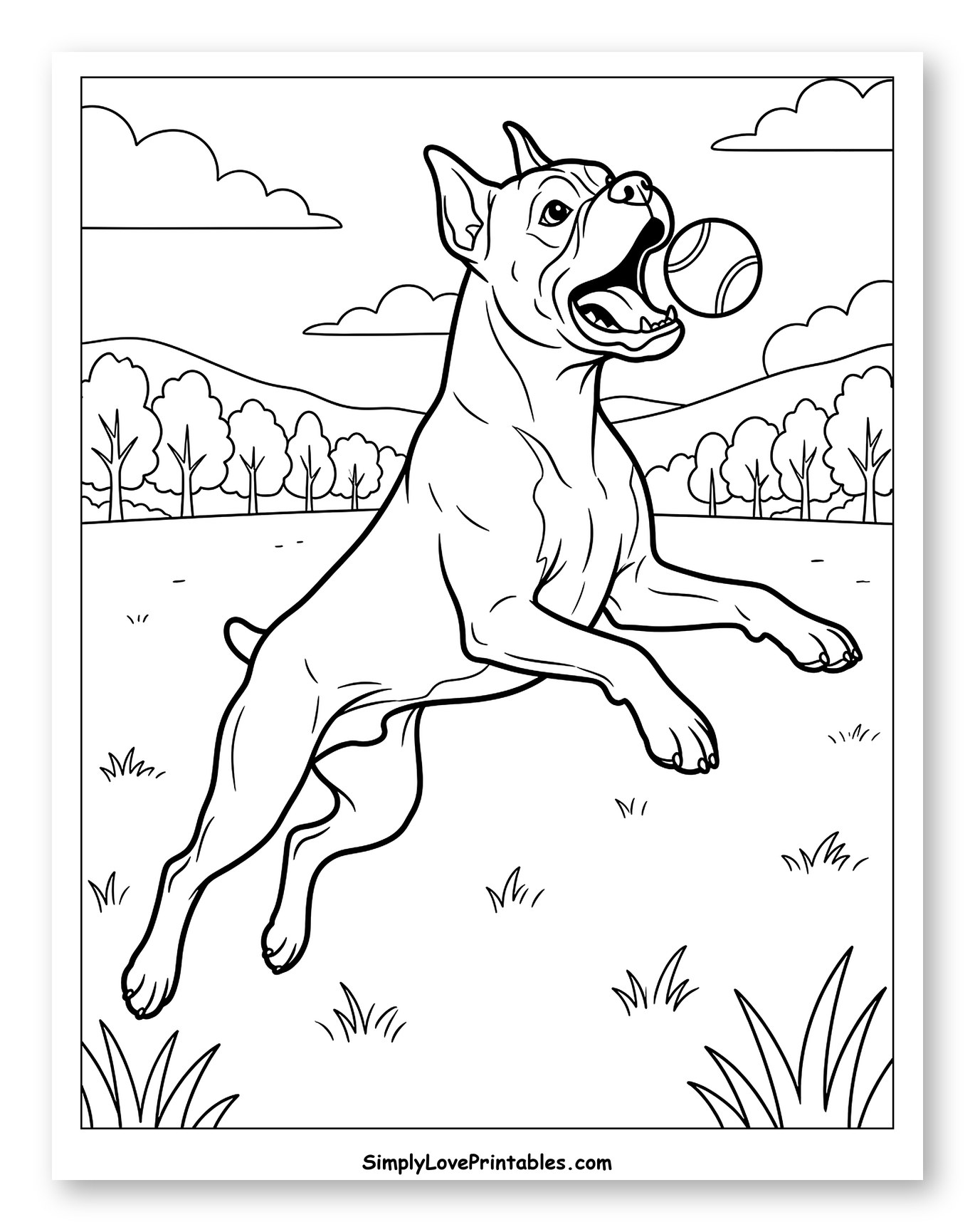 Boxer Dog Leaping to Catch Ball Coloring Page for Kids
