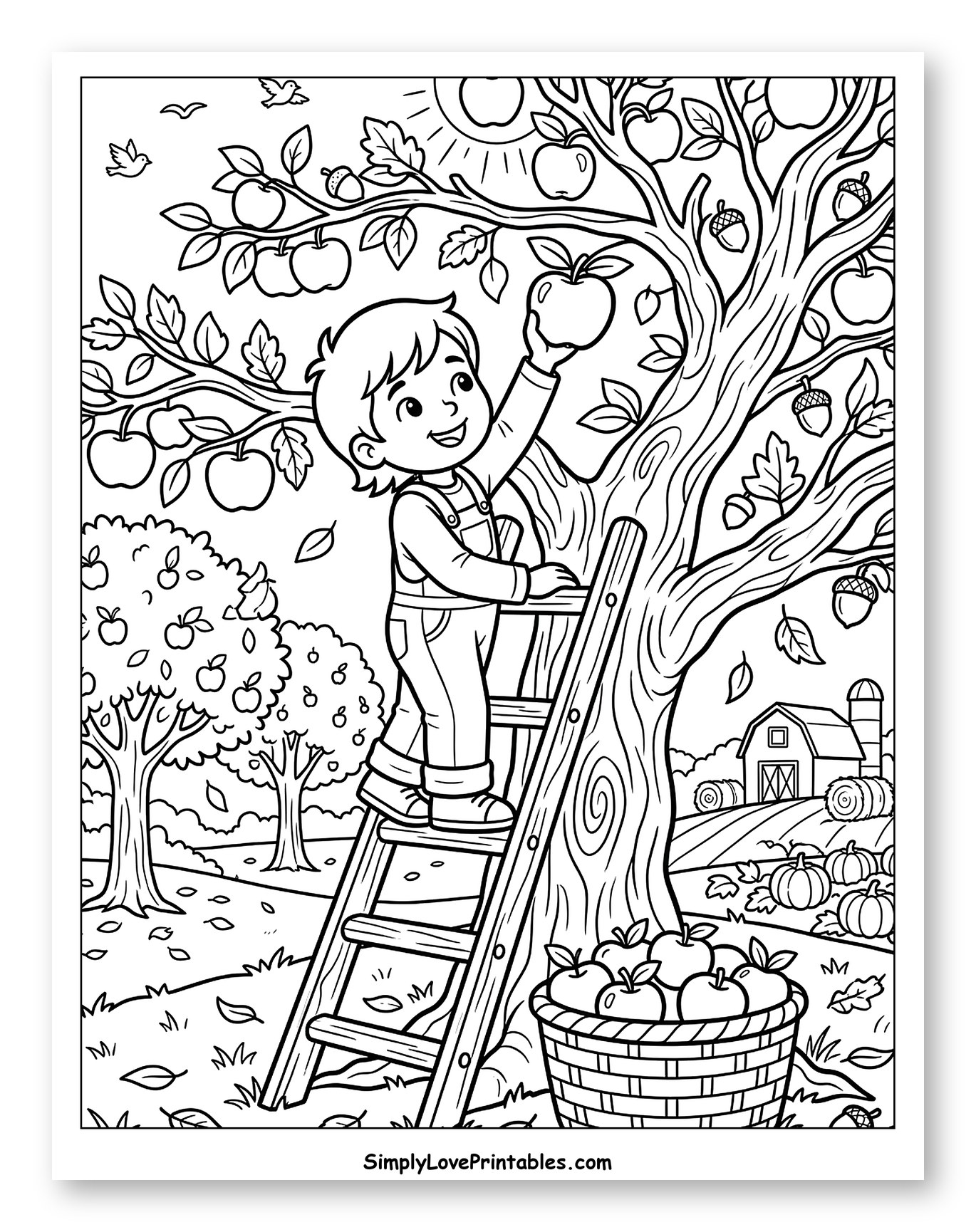 Boy Harvesting Autumn Apples on a Farm
