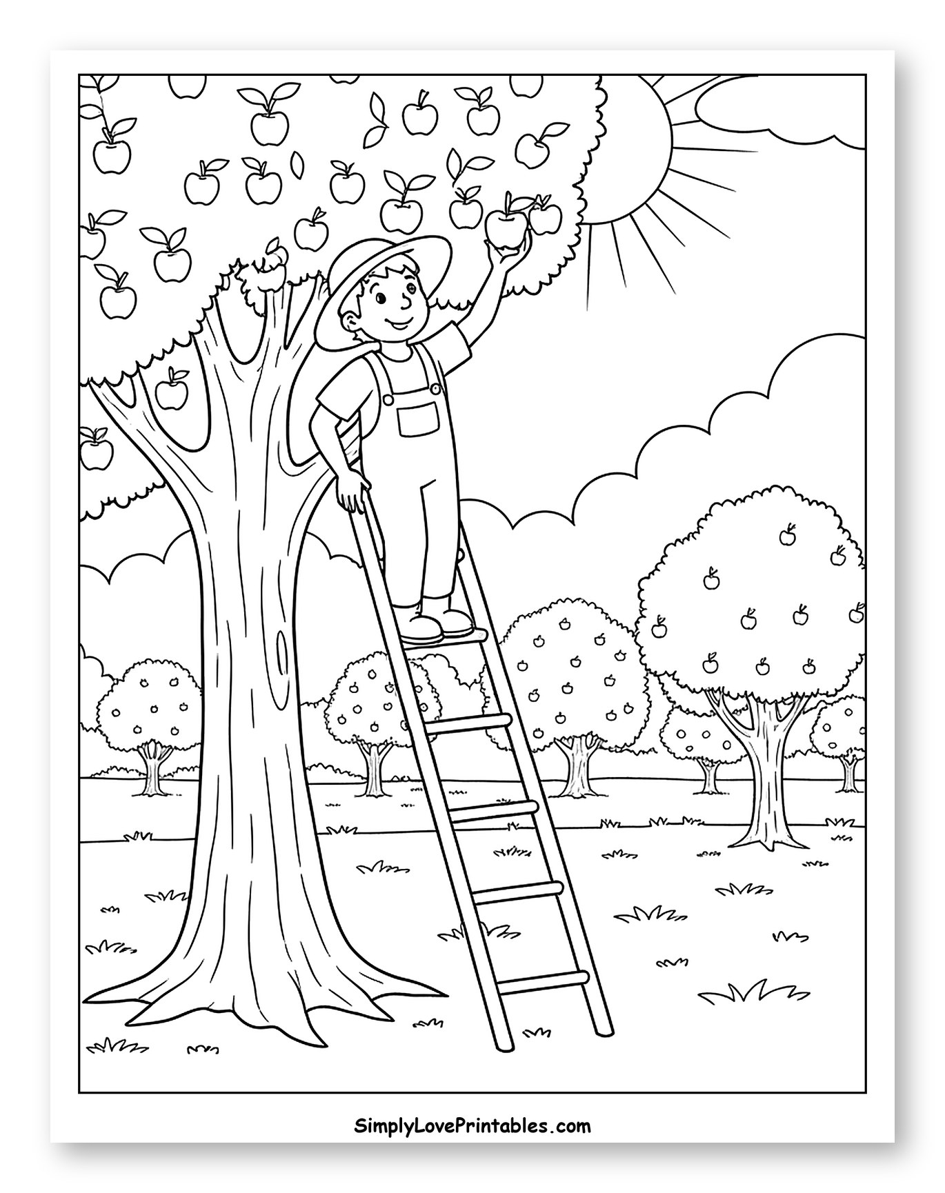 Boy Picking Apples from a Tree