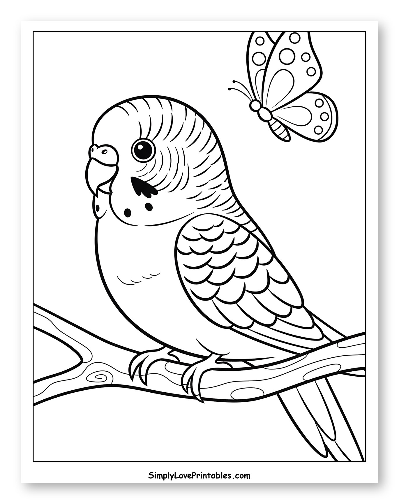 Budgie on a Branch with Butterfly to Color for Toddlers