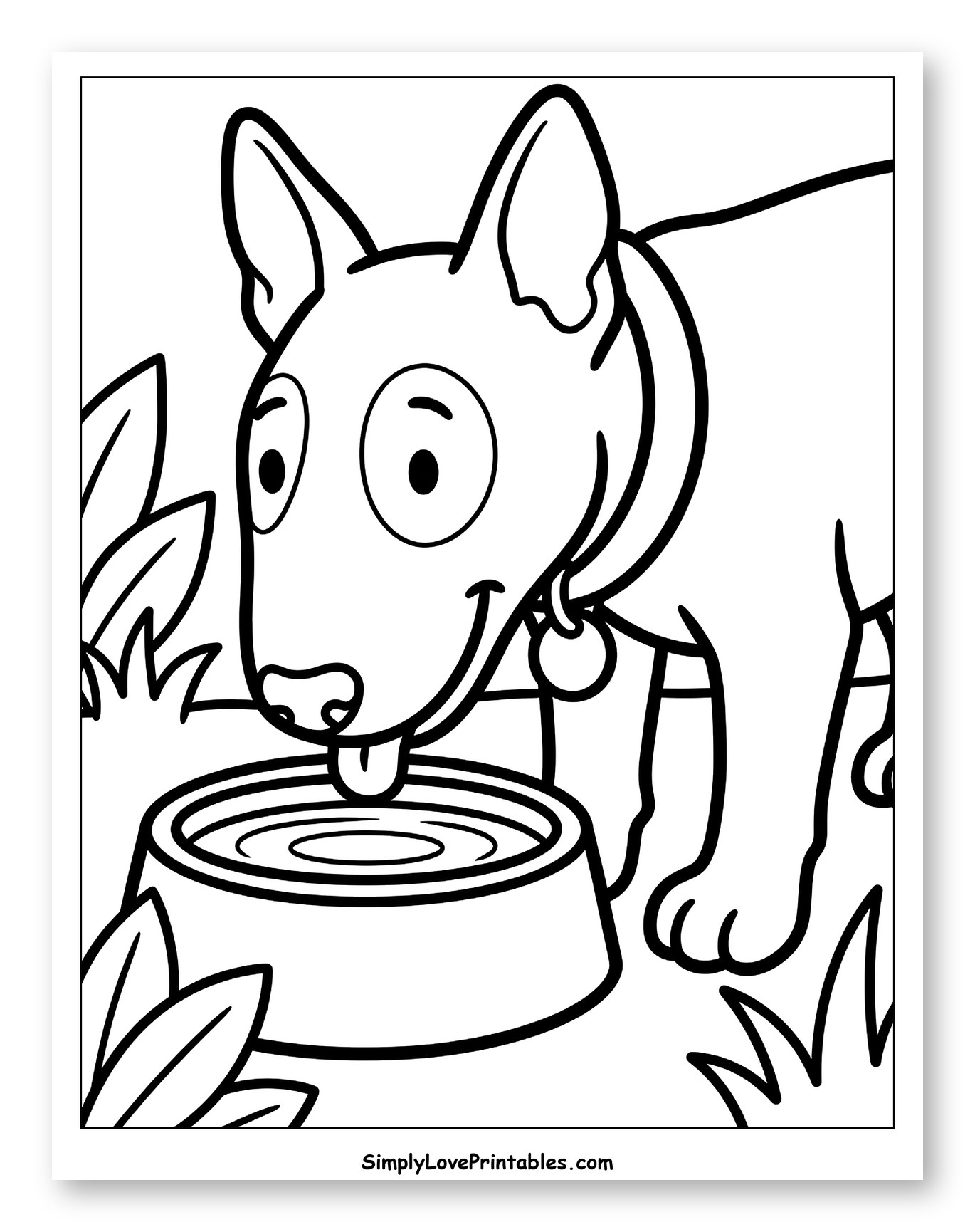 Bull Terrier Drinking Water from a Bowl