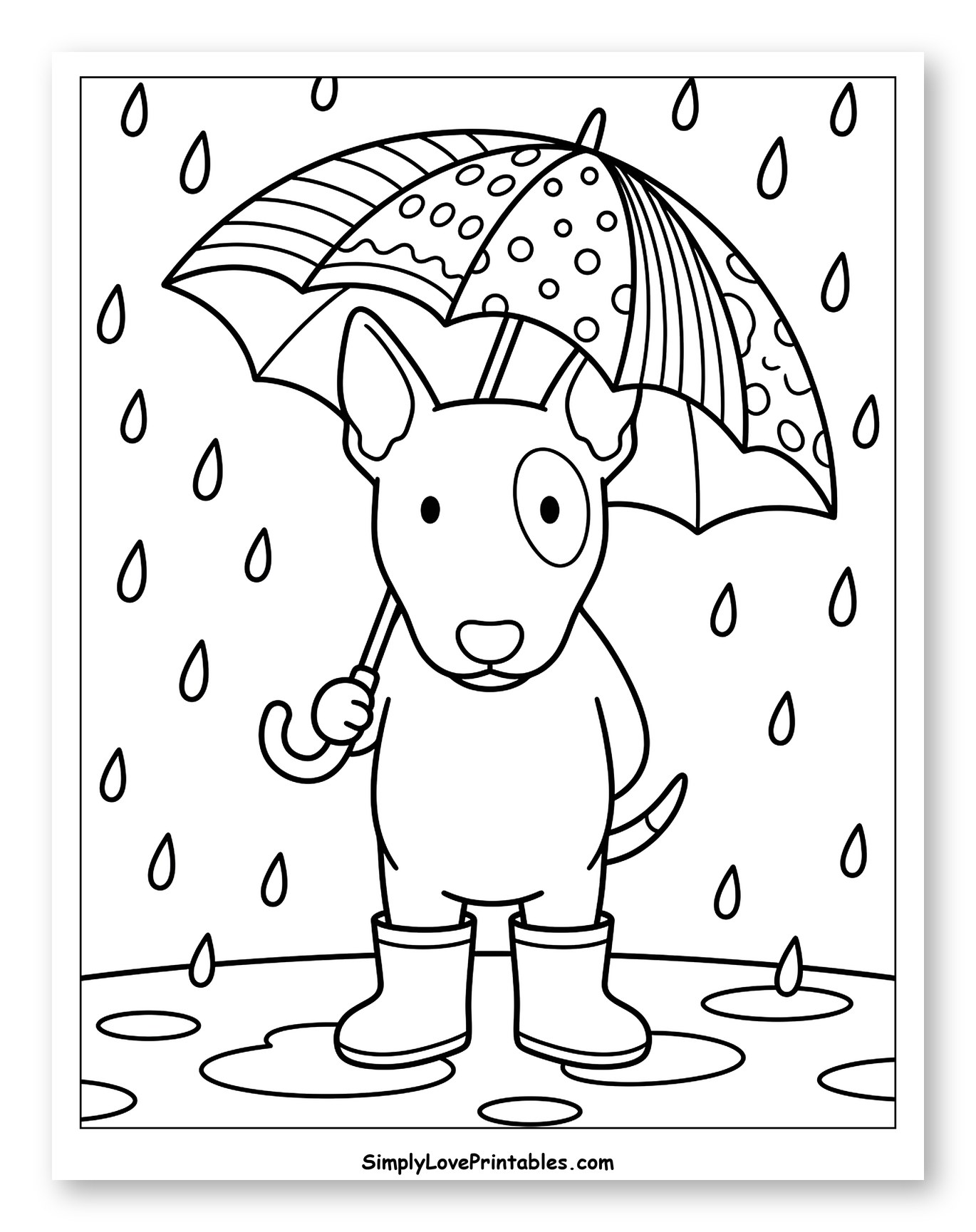 Bull Terrier in Rain with Umbrella