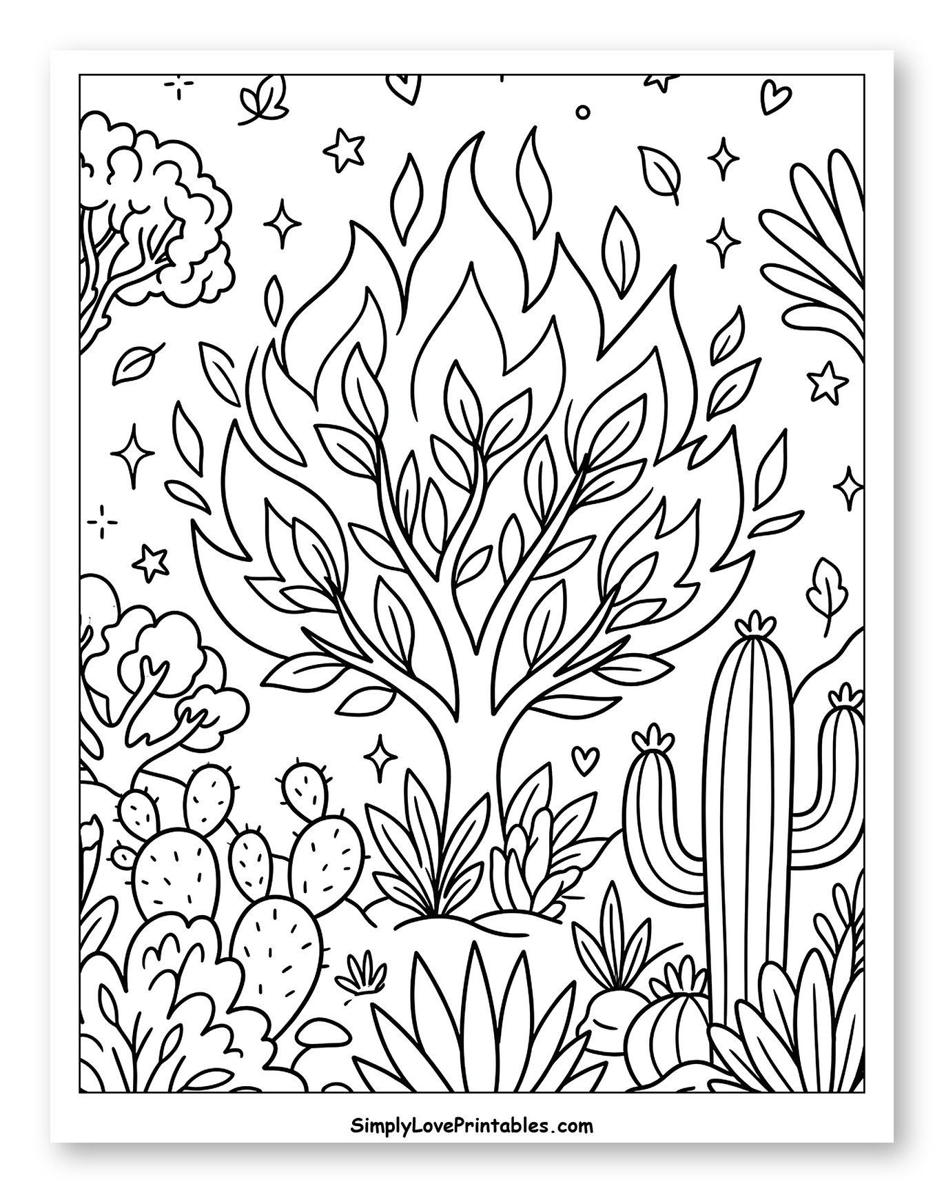 Burning Bush Amidst Desert Flora