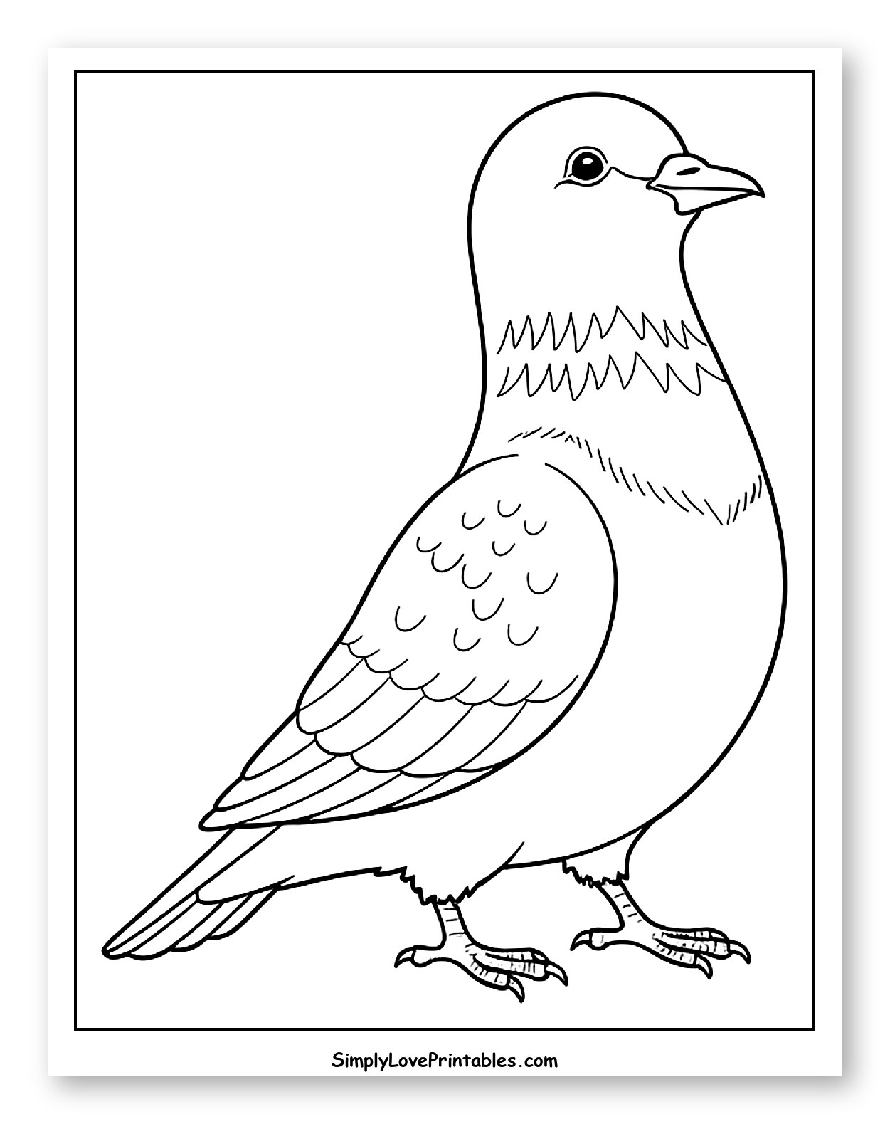 Cartoon Pigeon Standing Still