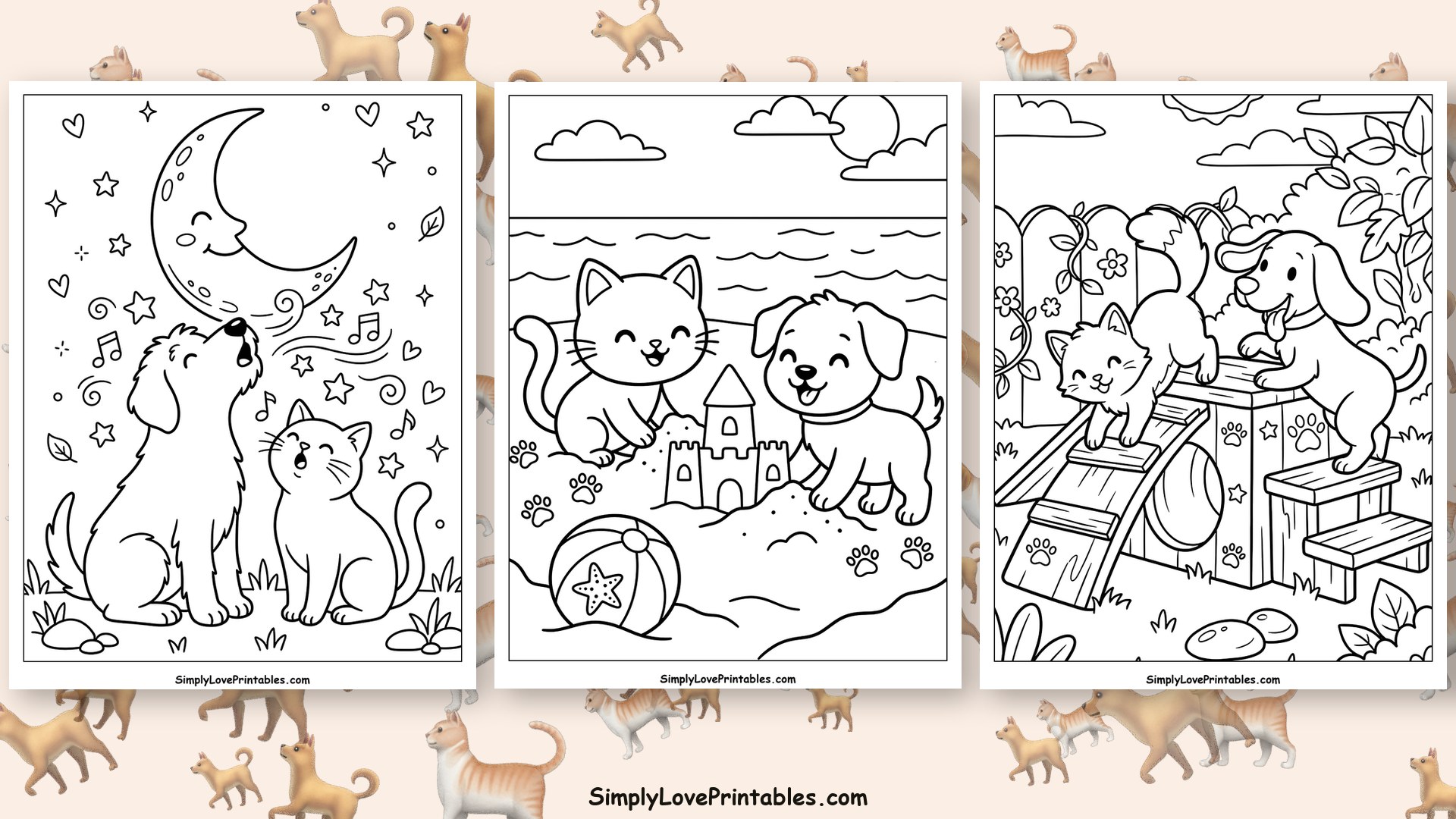 Cat And Dog