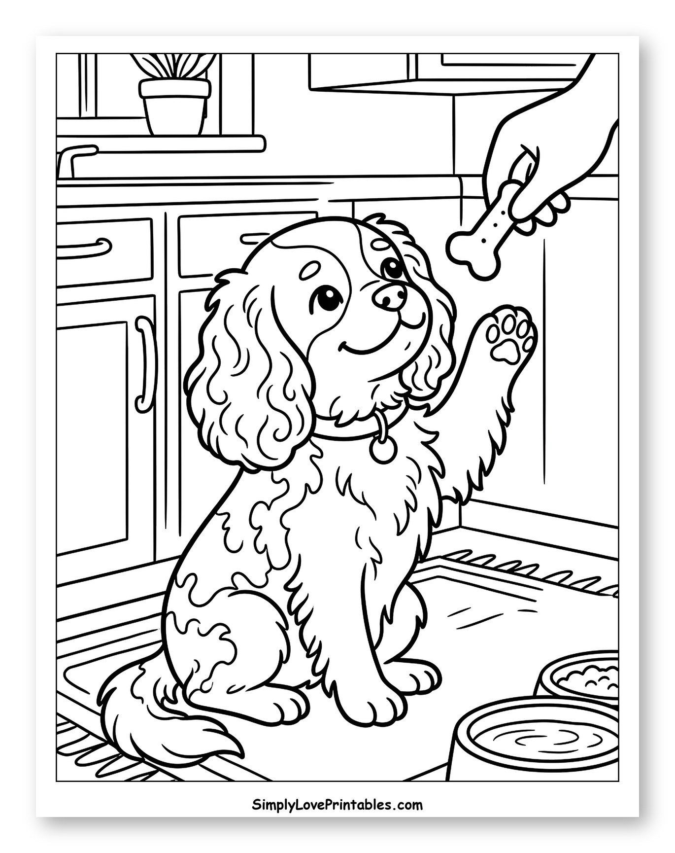 Cavalier King Charles Puppy Getting a Bone Treat