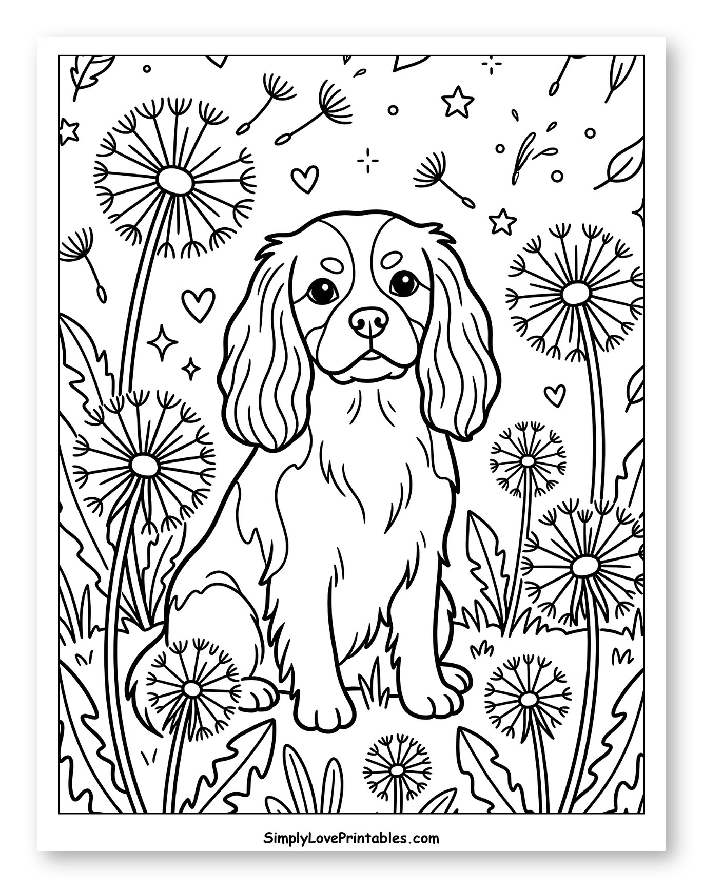 Cavalier King Charles Spaniel Surrounded by Dandelions