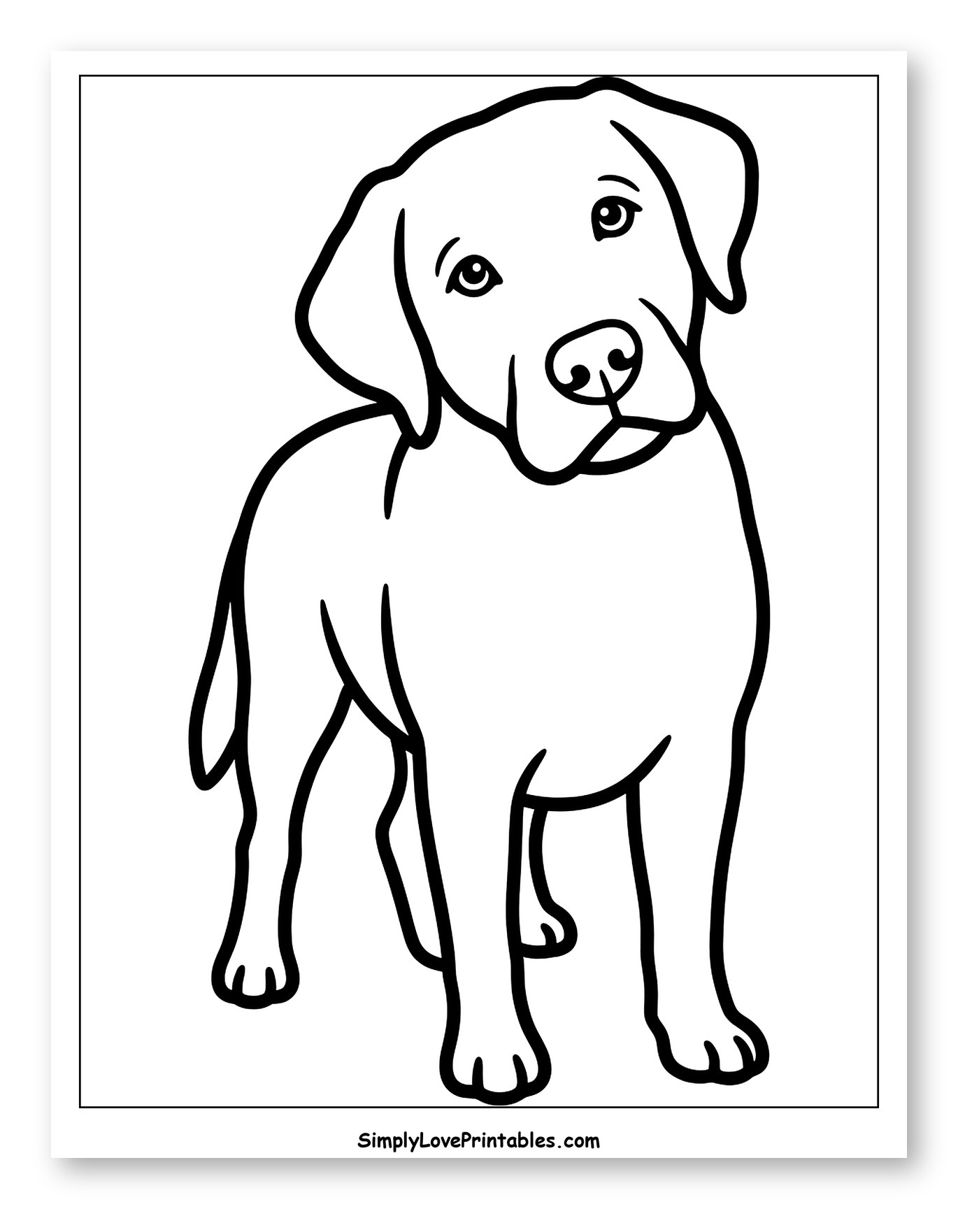 Charming Labrador Puppy Standing Attentively