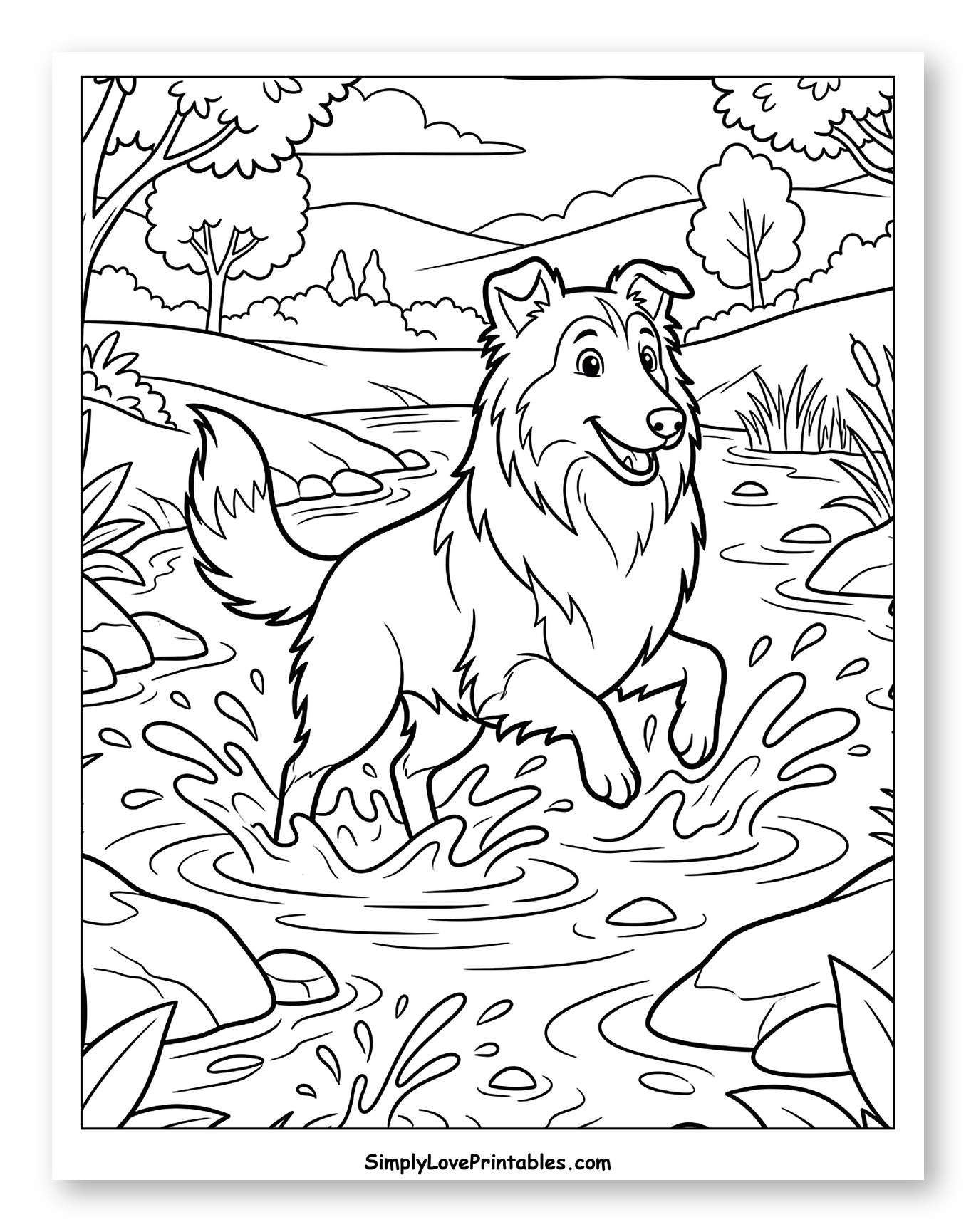 Cheerful Collie Dog Splashing in River to Color for Kids