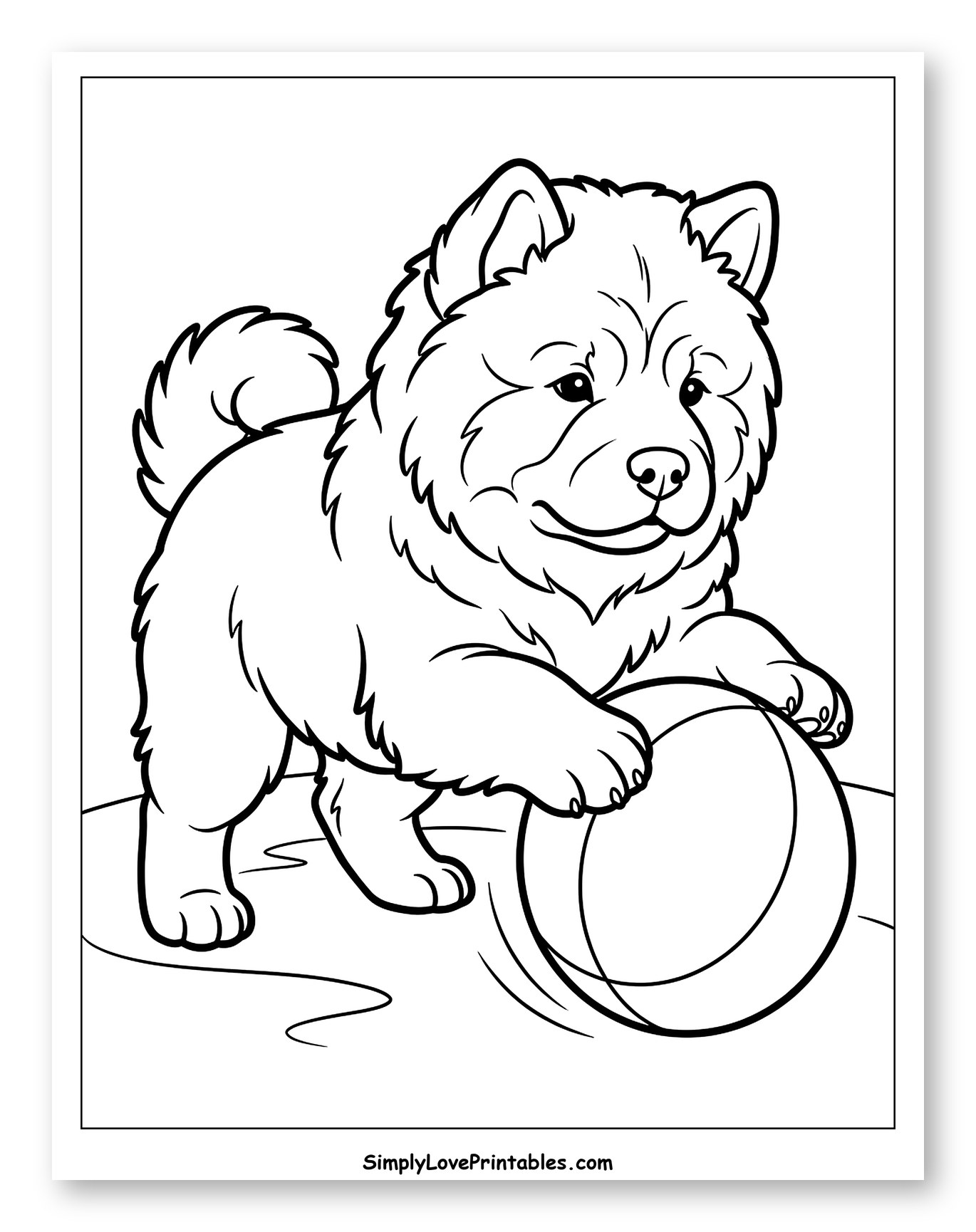 Chow Chow Puppy Playing with Ball