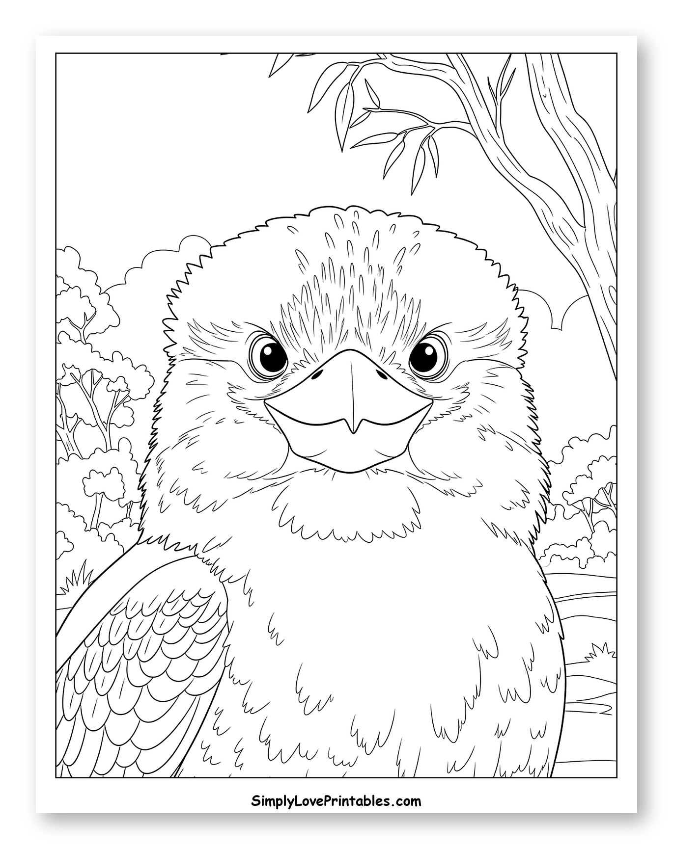 Close-up Kookaburra in a Forest Setting