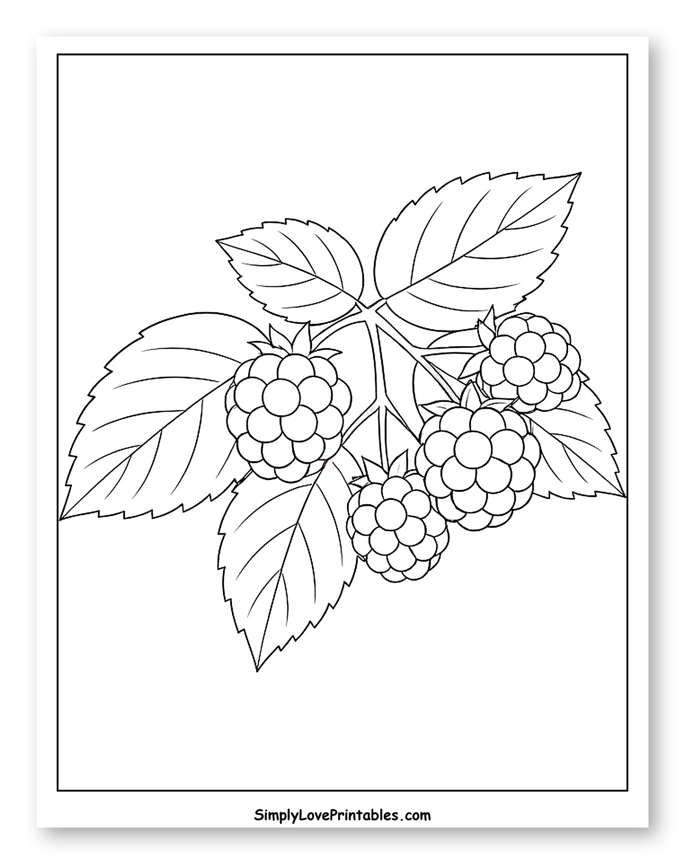 Cluster of Blackberries with Green Leaves