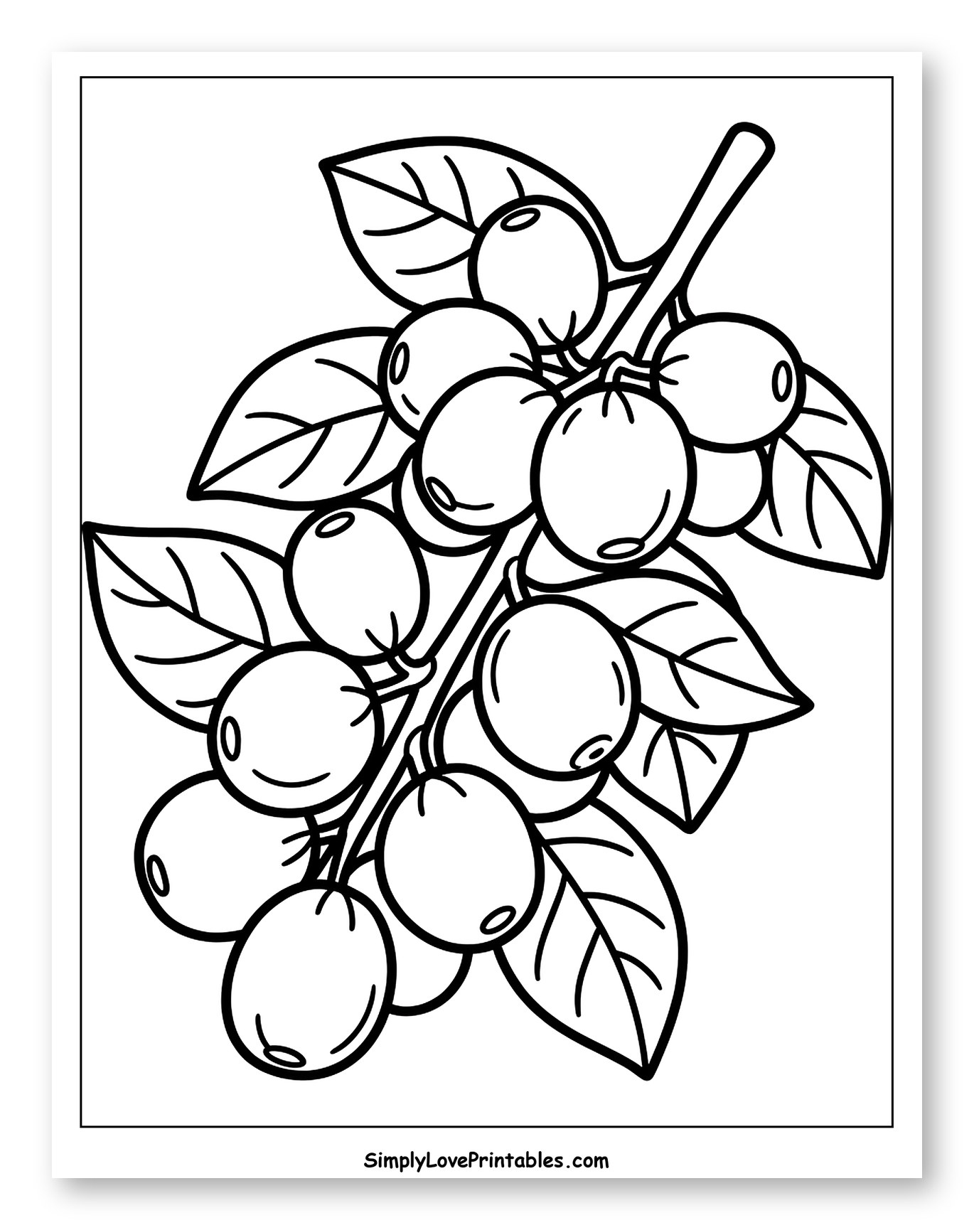 Coffee Cherries on a Branch with Leaves Coloring Sheet for Toddlers