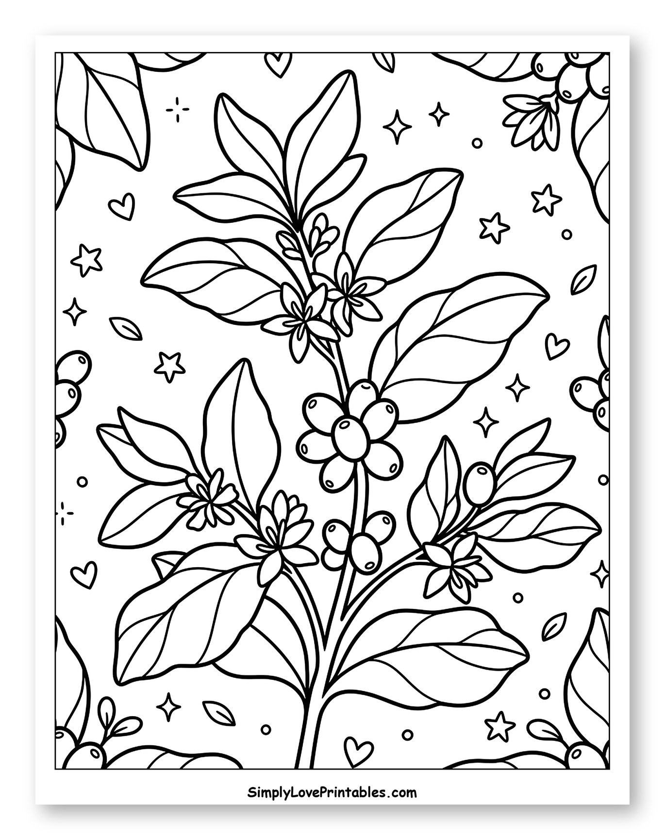 Coffee Plant with Flowers and Coffee Berries to Color for Adults