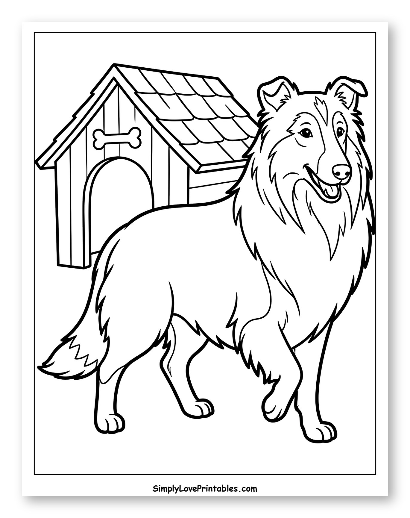 Collie Dog Standing Beside Dog House