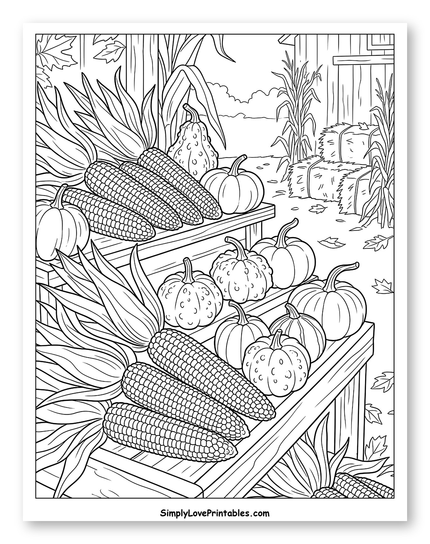 Corn, Pumpkins, and Gourds at Harvest