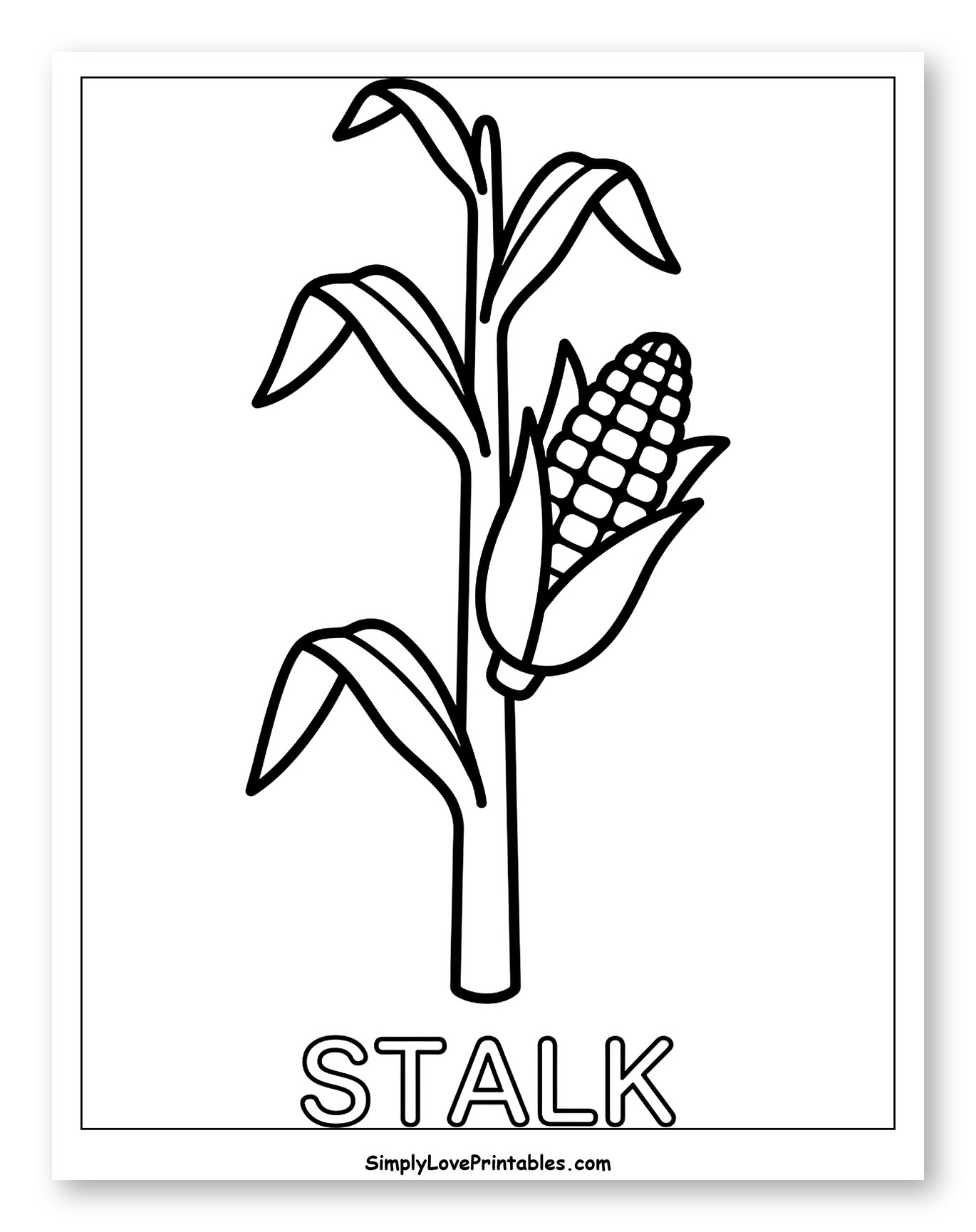 Corn Stalk with Ear and Text 'STALK' to Color for Toddlers