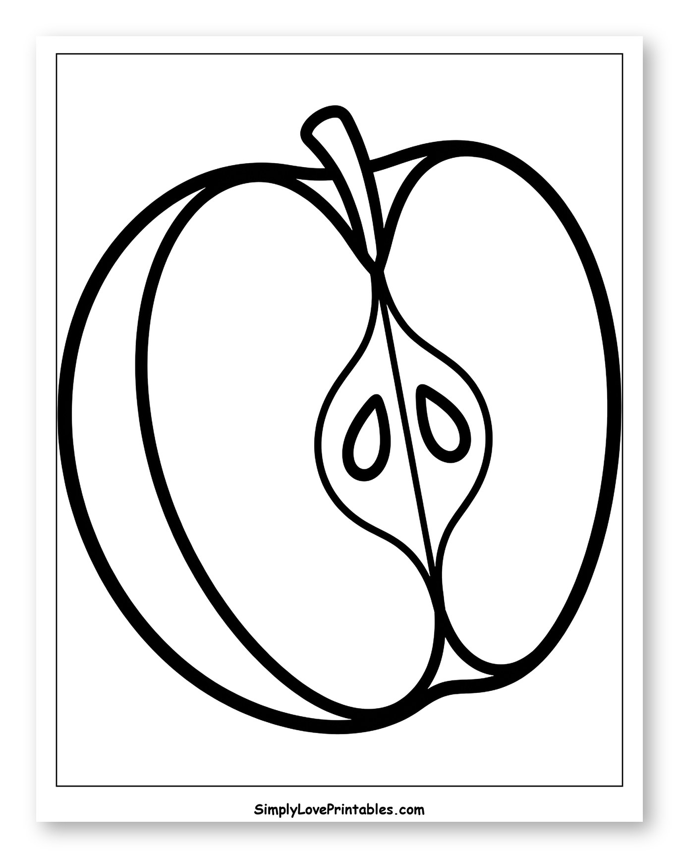 Cross-Section of an Apple