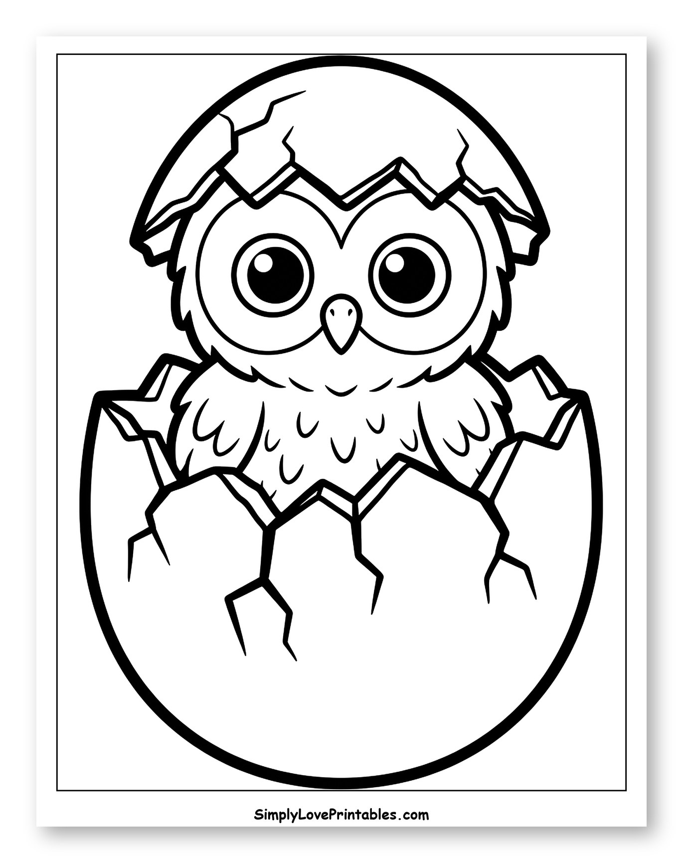 Cute Baby Owl Hatching from an Egg