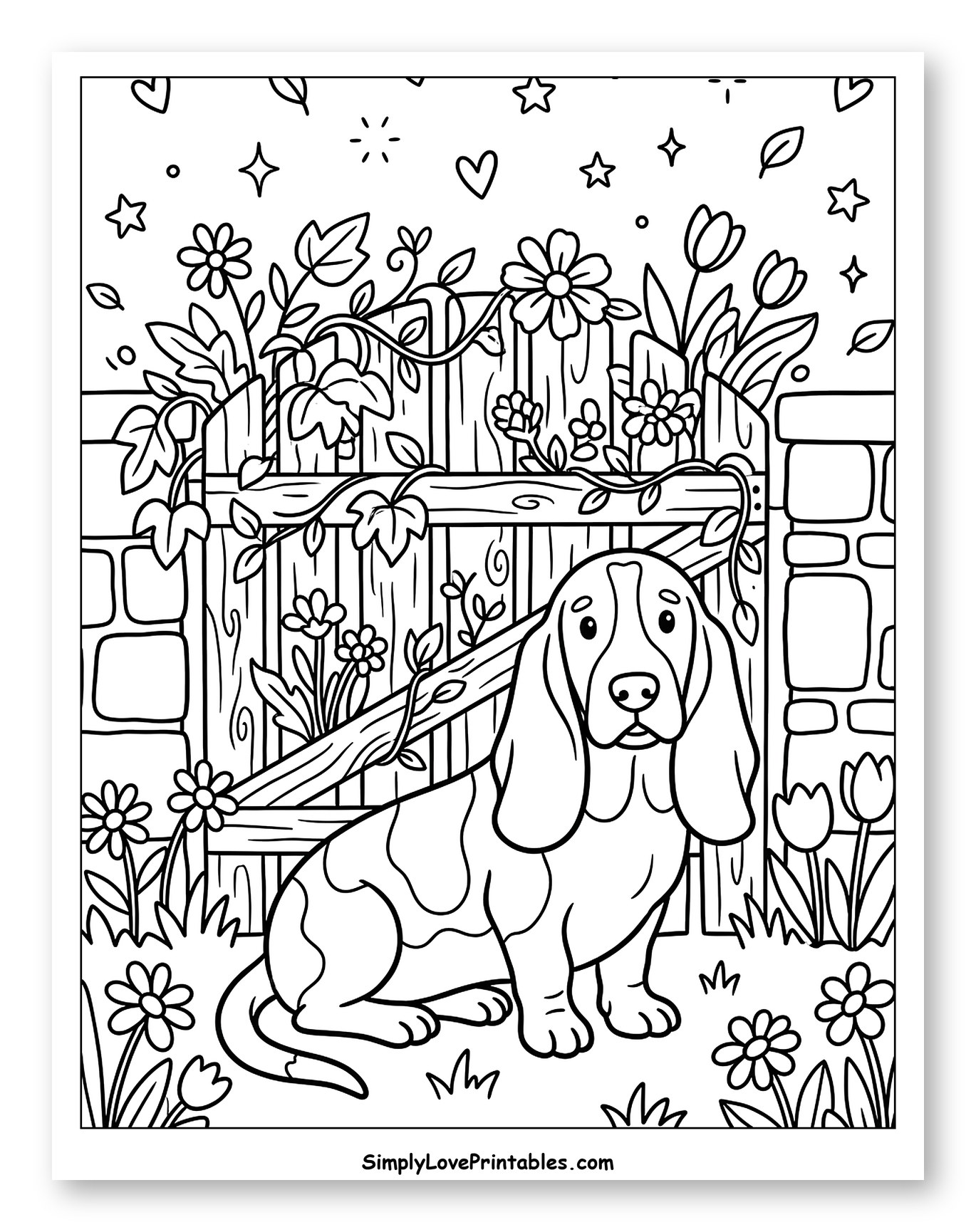 Cute Basset Hound by a Garden Gate