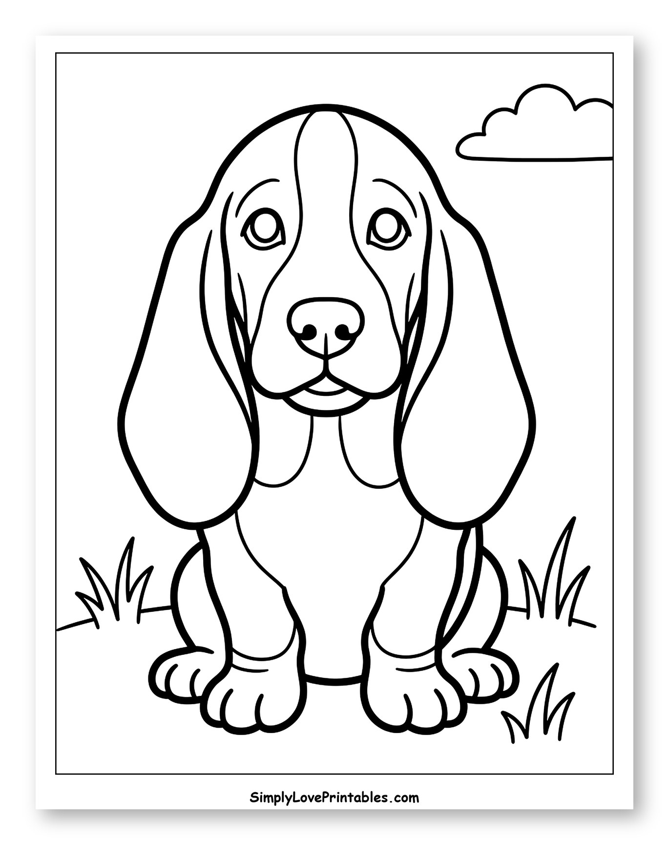 Cute Basset Hound Puppy Sitting in Grass