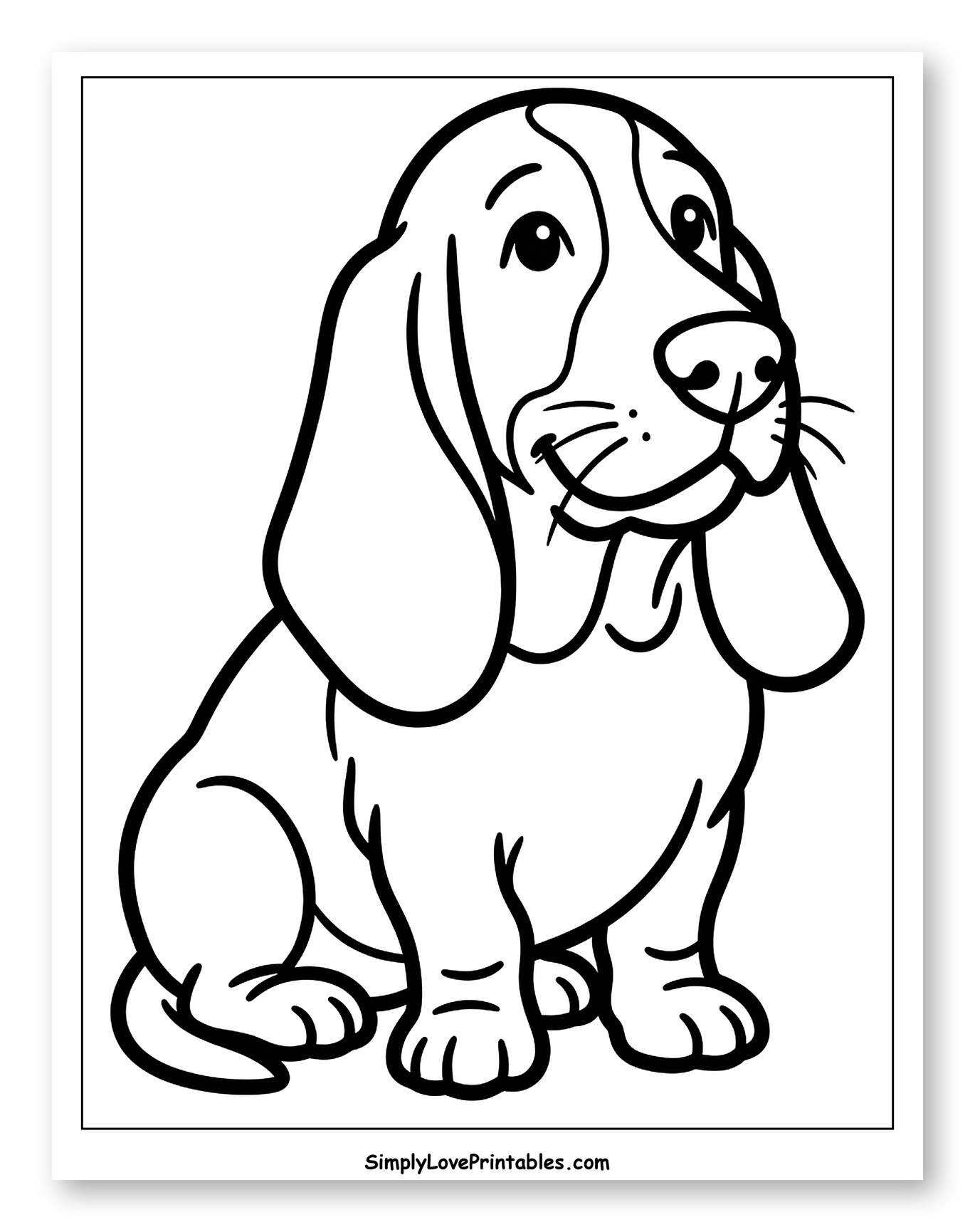 Cute Basset Hound Puppy Sitting