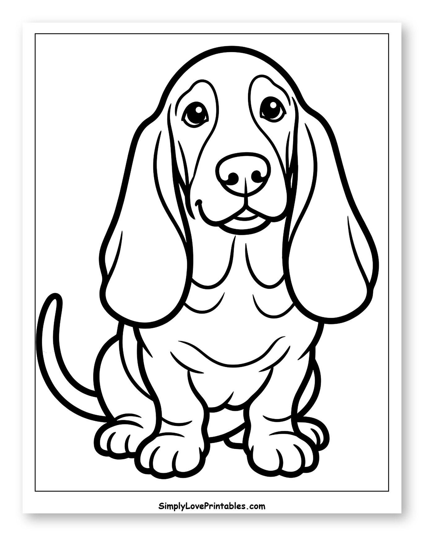 Cute Basset Hound Sitting