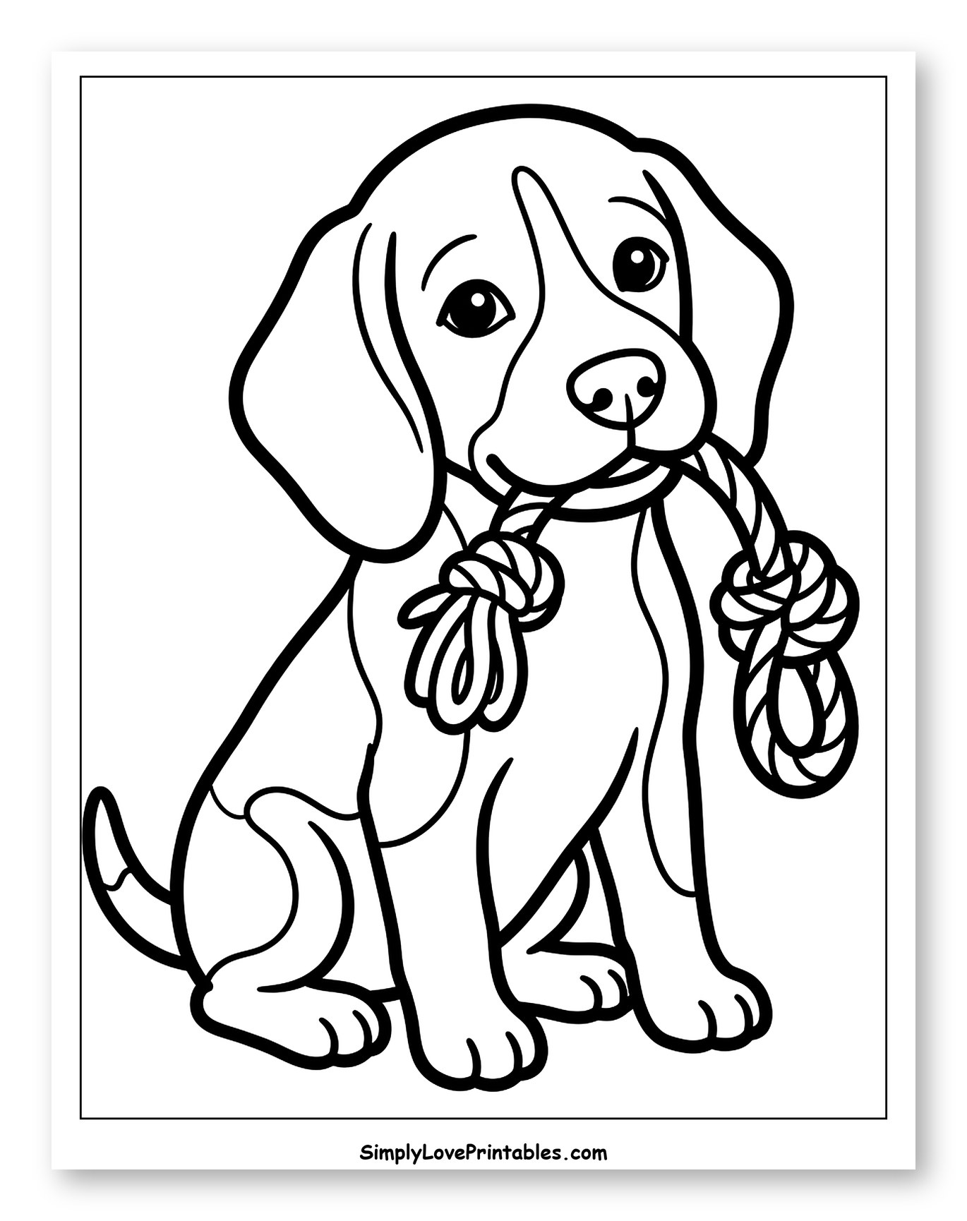 Cute Beagle Puppy with Rope Toy
