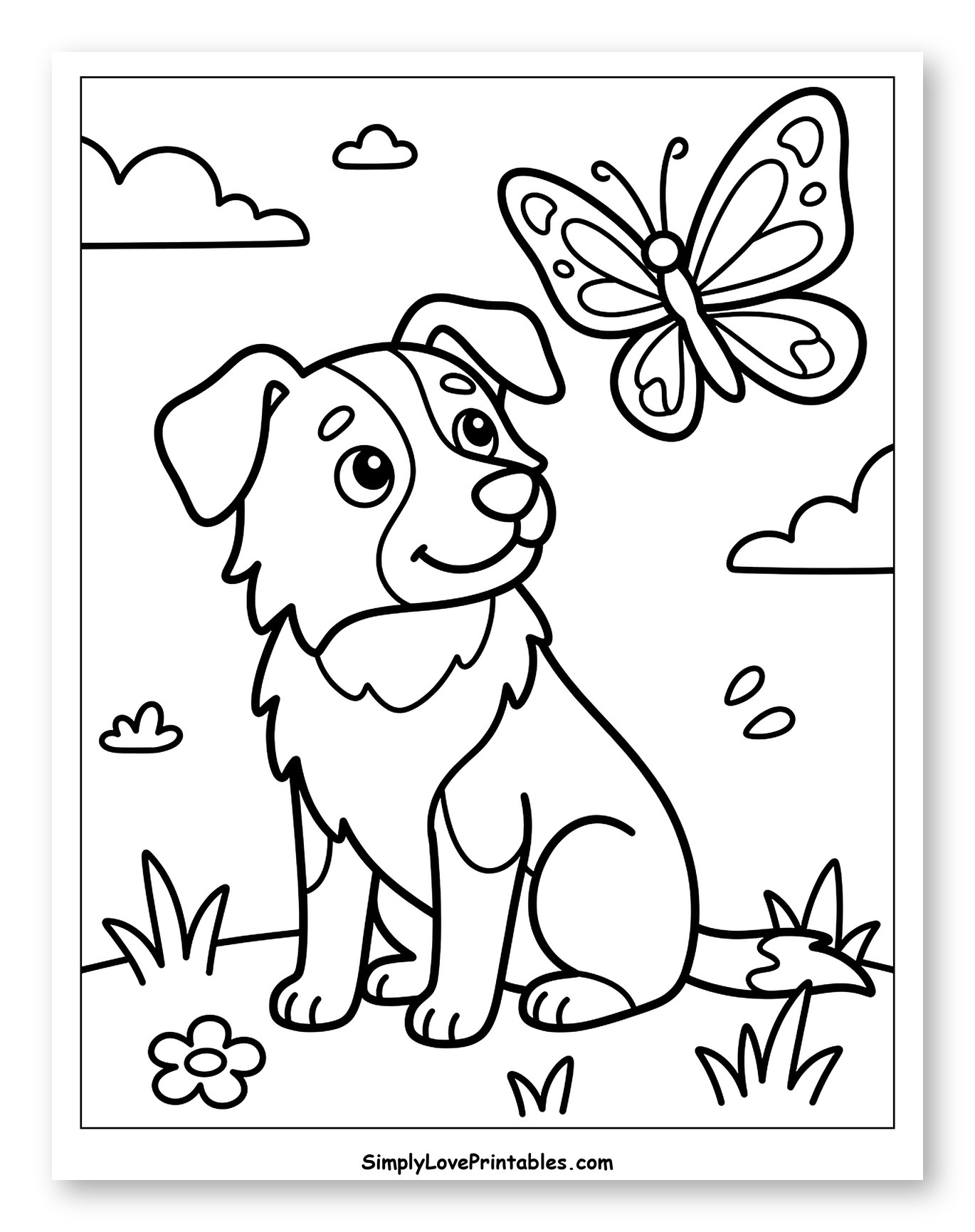 Cute Border Collie Looking at a Butterfly