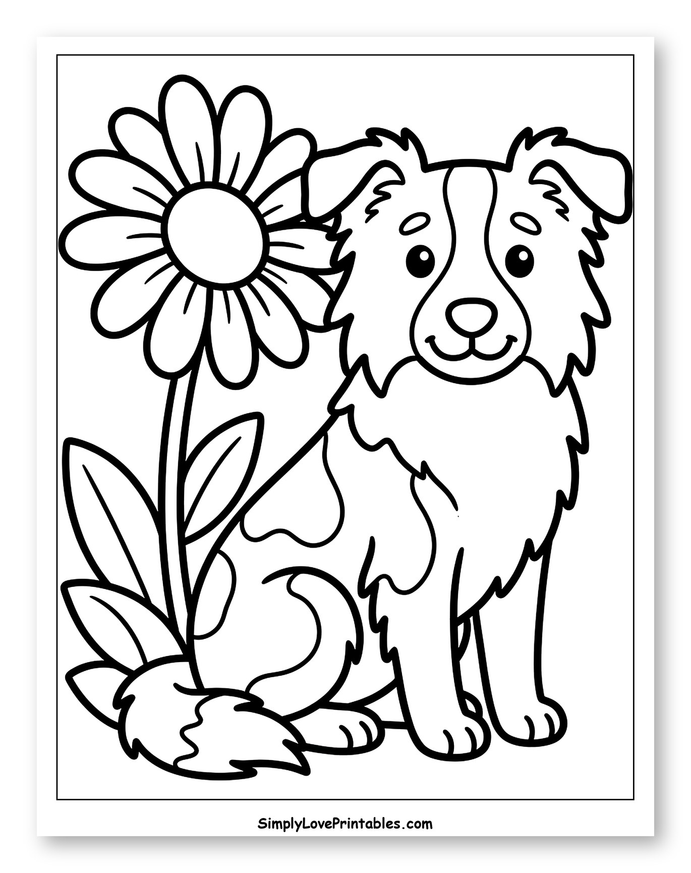 Cute Border Collie Sitting by a Daisy Coloring Sheet for Toddlers