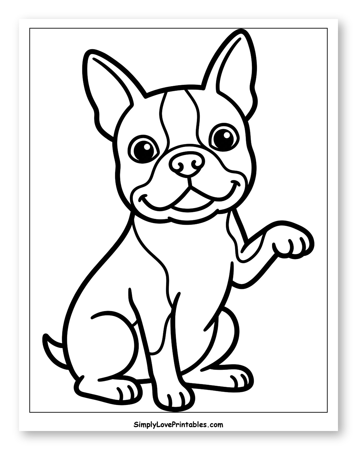 Cute Boston Terrier Puppy Waving Paw